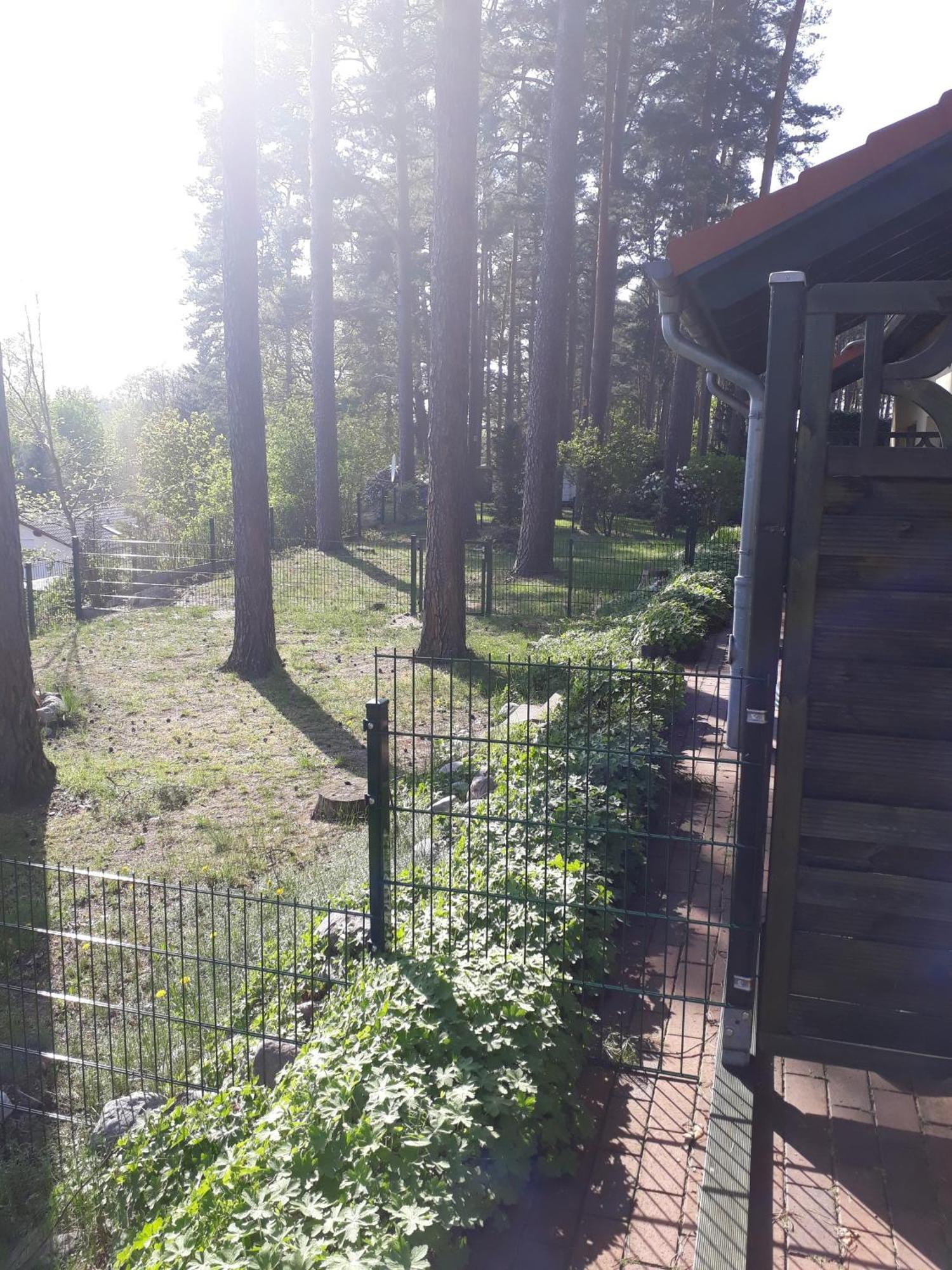 Ferienhaus Waldschneise B Am Jabeler See ภายนอก รูปภาพ